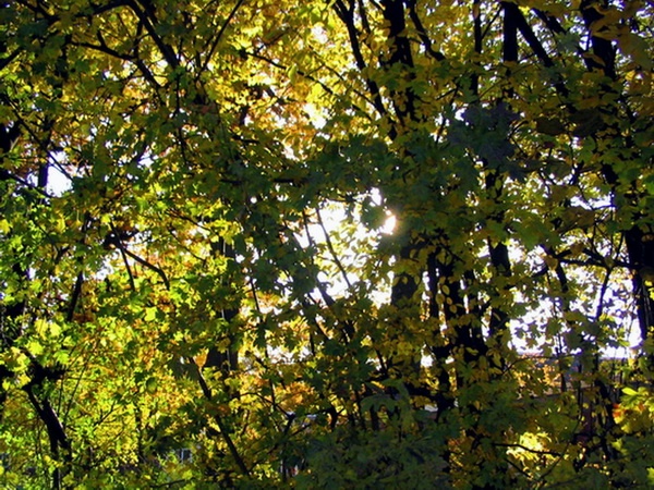 Herbstimpressionen_13.jpg