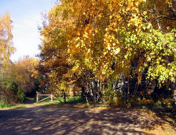 Herbstimpressionen_27.jpg