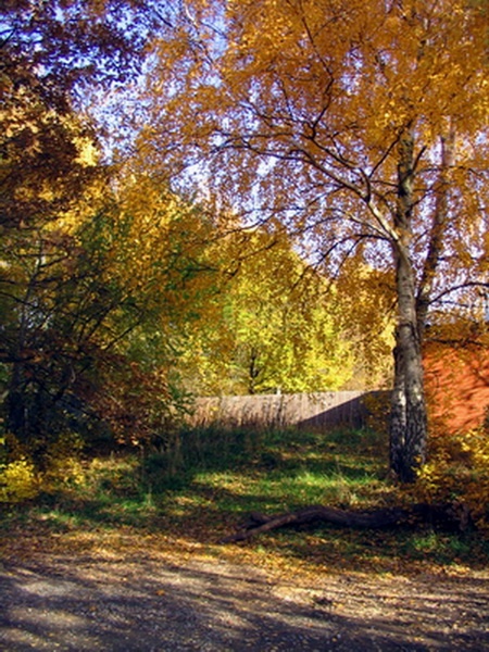 Herbstimpressionen_28.jpg