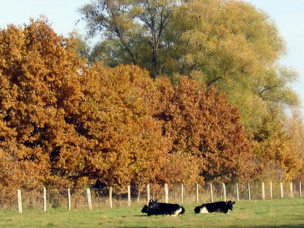 Herbstimpressionen_32.jpg