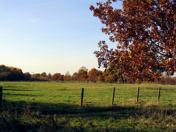 Herbstimpressionen_50.jpg