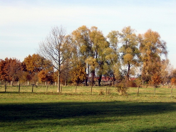 Herbstimpressionen_55.jpg