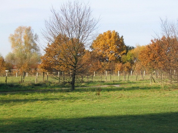 Herbstimpressionen_57.jpg
