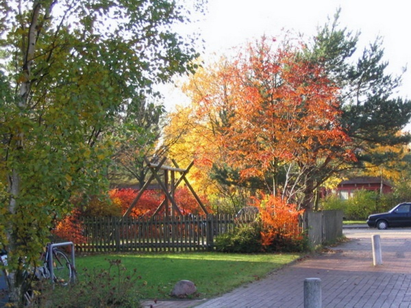 Herbstimpressionen_59.jpg