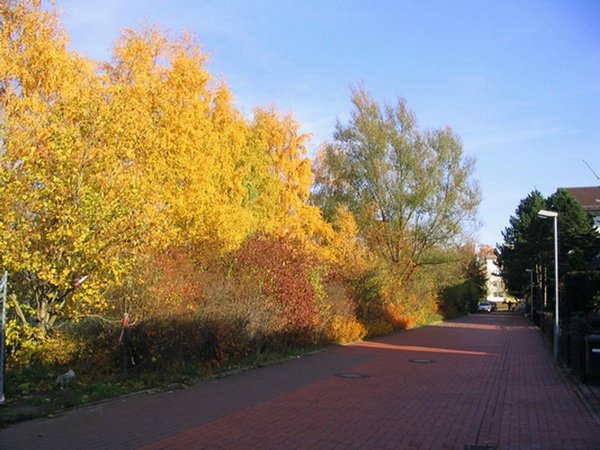 Herbstimpressionen_61.jpg