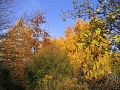 Herbstimpressionen_26