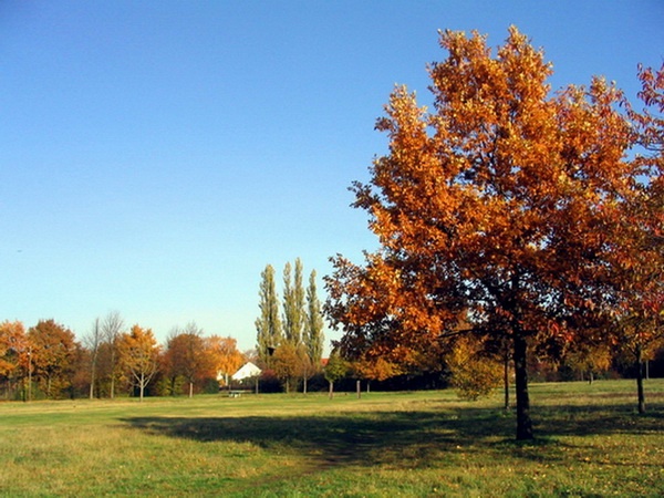 Herbstimpressionen_07.jpg