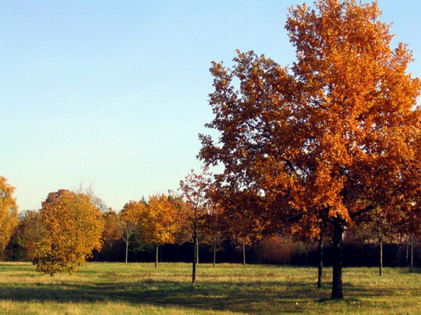 Herbstimpressionen_08.jpg