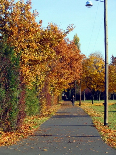 Herbstimpressionen_10.jpg