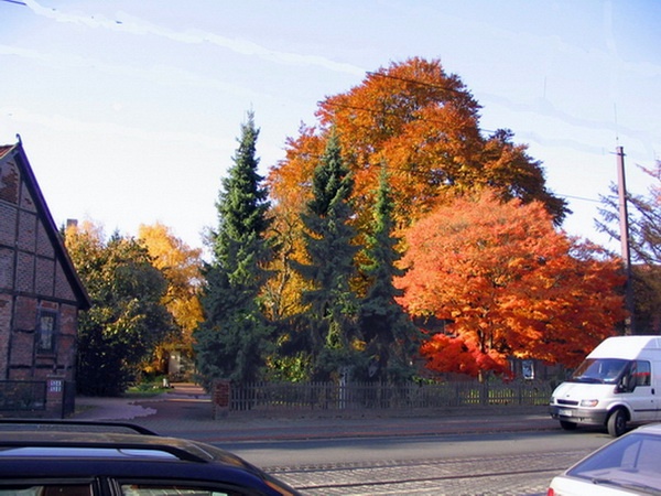 Herbstimpressionen_12.jpg