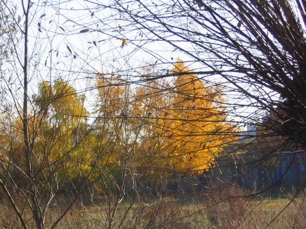 Herbstimpressionen_20.jpg
