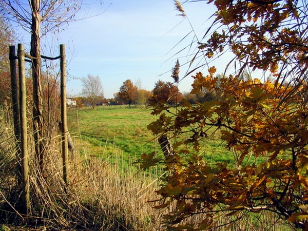 Herbstimpressionen_45.jpg