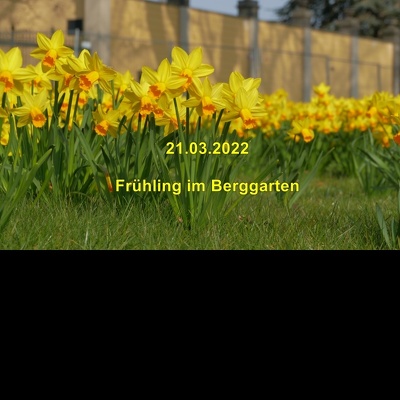 20220321 Fruehling im Berggarten  