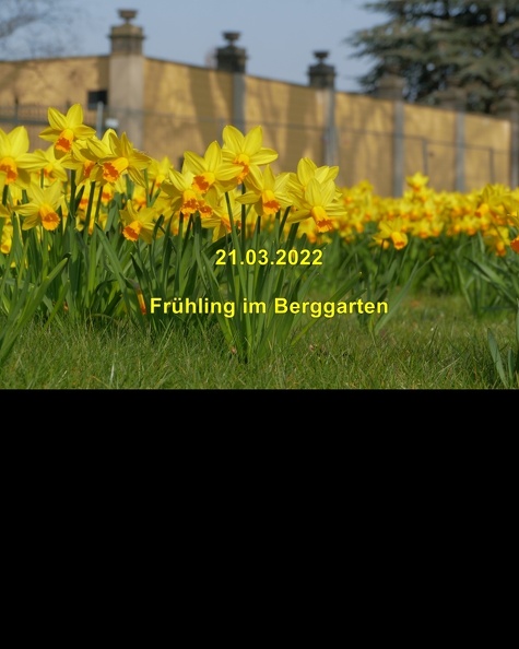 A_Fruehling_im_Berggarten_T.jpg