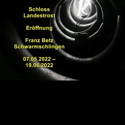 20220506 Franz Betz Schwarmschlingen