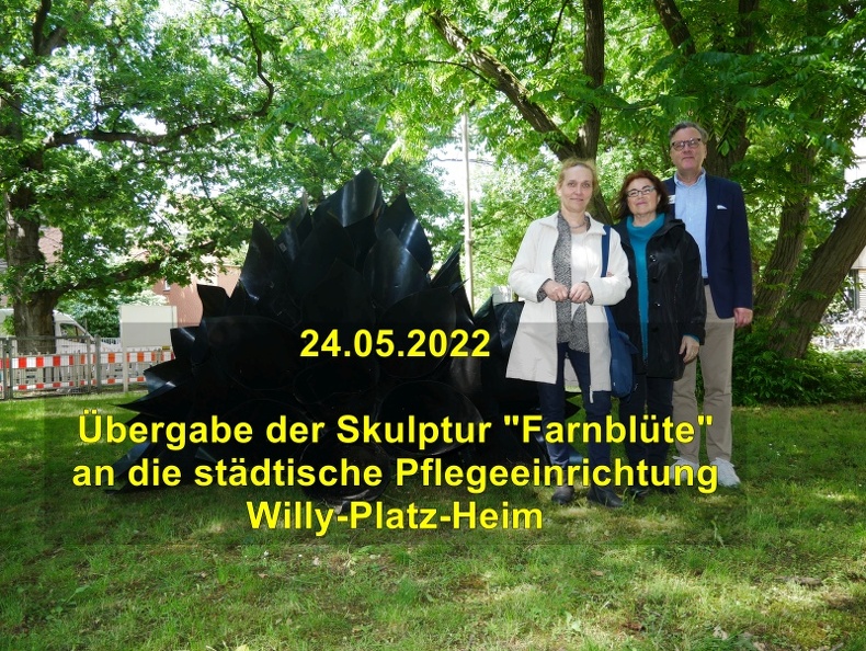 A_Farnbluete_Willy-Platz-Heim.jpg