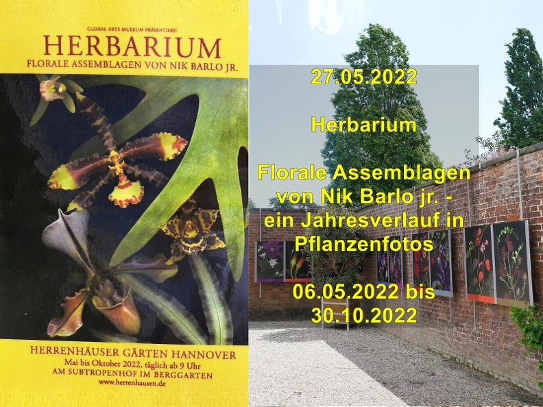 A_Herbarium_-.jpg
