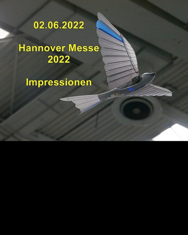 A Impressionen hm22 T