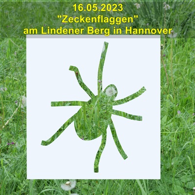 20230516 Lindener Bergfriedhof Zeckenflaggen
