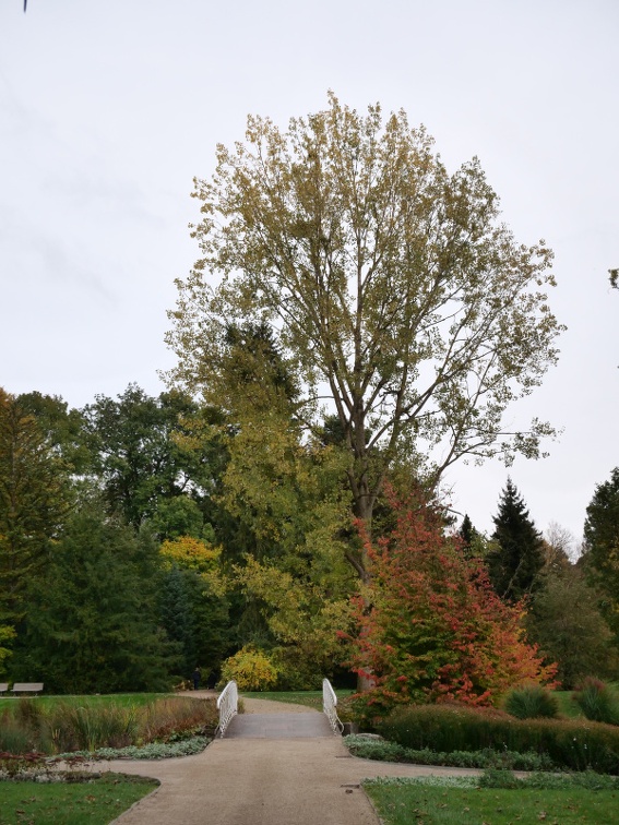 P6070642