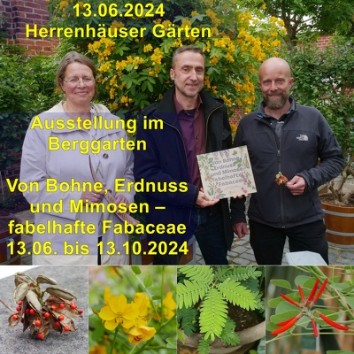 20240613 Berggarten Ausstellung Fabaceae