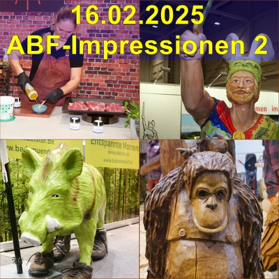20250216 ABF-Impressionen-2