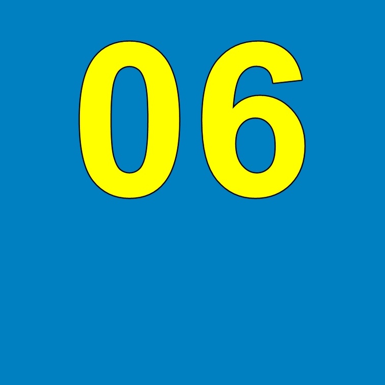 06